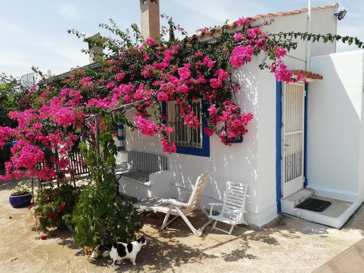 Finca La Joya Торебланка Екстериор снимка